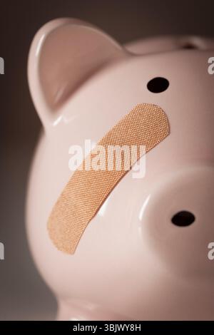 Schweinebank mit Bandage im Gesicht Stockfoto