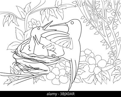 Schwarz-weiße Linienzeichnung eines Kolibris, der seine beiden Babys in einem Nest füttert, umgeben von Blättern, Zweigen und Blumen. Umriss Illustration Anzug Stock Vektor