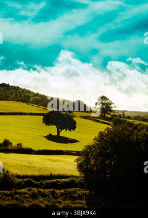 Eine malerische Landschaft mit einem lebhaften grünen Feld, Bäumen und einem bewölkten Himmel. Stockfoto