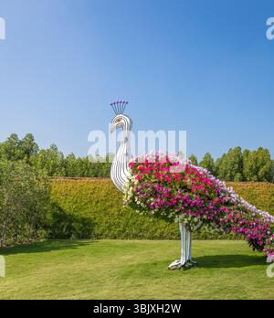 DUBAI, VAE - 20. JANUAR: Miracle Garden in Dubai, am 20. Januar 2014, Dubai, VAE. Wunderschöner Miracle Garden mit 45 Millionen Strömen Stockfoto