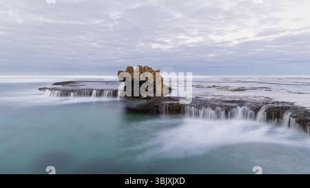 Drachenkopf bei Ebbe Stockfoto