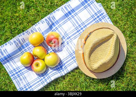 Rote und gelbe Äpfel und Strohhut auf einem Tuch und grünes Gras im Park, Kopierraum Stockfoto