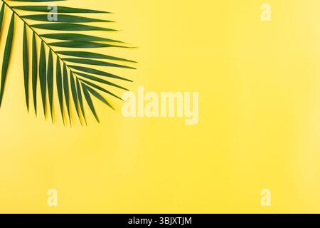 Urlaubsreiseplanung einfaches Thema von Palmblättern auf einheitlichem gelbem Hintergrund flach mit Kopierraum Stockfoto