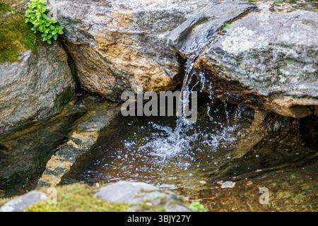 Kleiner Steinbrunnen mit Wasser, das in einen flachen Pool fließt, umgeben von moosigen Felsen und Grün, ruhiger Garten in natürlicher Umgebung. Stockfoto