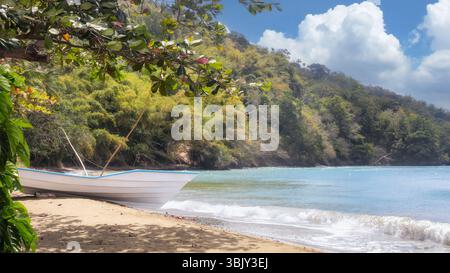Weißes Fischerboot an einem Sandstrand, umgeben von üppigen grünen Hügeln, tropischer Vegetation und ruhigem türkisfarbenem Meer. Tobago Island, Karibisches Meer Stockfoto