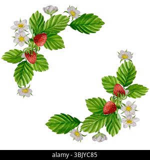 Erdbeeren Aquarell Clipart. Erdbeere isoliert, rote Beere und Blätter auf weißem Hintergrund. Handgemalte realistische Illustration für Tee, Marmelade Stockfoto