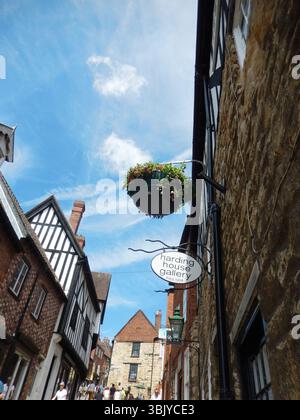 Malerische Straße mit historischen Gebäuden und Blumenkorb an einem sonnigen Tag. Lincoln, England Stockfoto