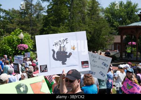 Demonstranten bei der No Kings-Kundgebung am 14. Juni 2025 in Fenton Michigan USA Stockfoto