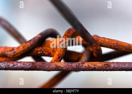 Stacheldraht mit selektivem Fokus Stockfoto