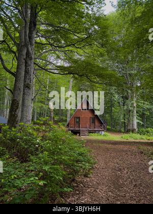 Gemütliche A-Frame Hütte in Waldlichtung mit Dirt Path Stockfoto