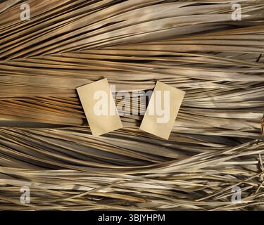 Echte Fotokarten blank braun beige trockenes Palmblatt natürliche tropische Pflanze ästhetisches Mockup Design Stockfoto