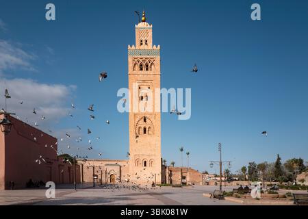 Die Koutoubia-Moschee. Aus dem 12. Jahrhundert. Marrakesch, die alte Kaiserstadt im Westen Marokkos und ihre Folklore, der Platz Jemaa el Fna Stockfoto