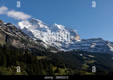 Der Gipfel der jungfrau über wengen Dorf schweiz Stockfoto