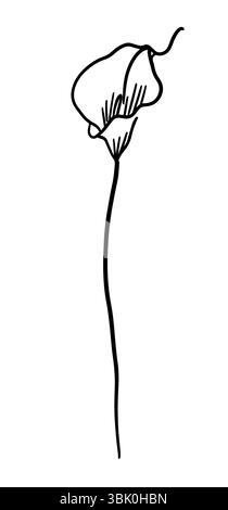 Blume eine Linie monochrom. Handzeichnung der Calla-Blume. Nicht AI, Vektorillustration Stock Vektor