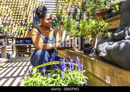 Gärtner hält einen Bonsai-Baum vorsichtig in der Hand, während er in einer Pflanzenzüchtung arbeitet, umgeben von verschiedenen Pflanzen und Blumen Stockfoto