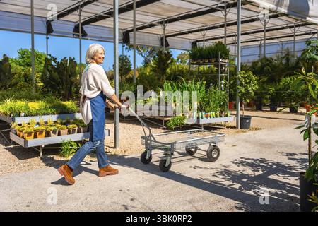 Senior Gärtner schiebt einen Wagen in einem Gewächshaus, umgeben von verschiedenen Pflanzen und Blumen Stockfoto