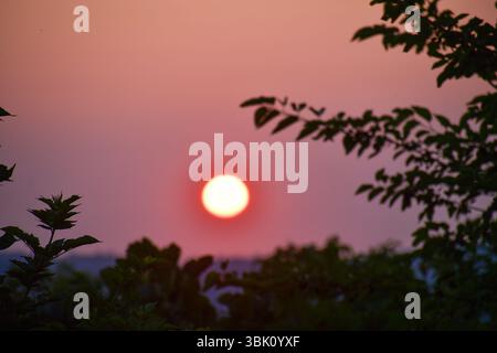 Ein heller, lebendiger Sonnenuntergang leuchtet in der Ferne und strahlt durch die dunklen Blätter des Baumes. Stockfoto