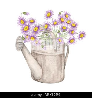Vintage-Gießkanne mit blühenden violetten Astern und Laub. Illustration der Wildblume. Watercolor Clipart hervorragend geeignet für Gartenjournalumschläge, umweltfreundliche Produktetiketten oder DIY-Geschenkverpackungen Stockfoto