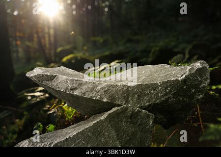 Podium für die Produktpräsentation aus Steinen im Wald. Platz für Design Stockfoto
