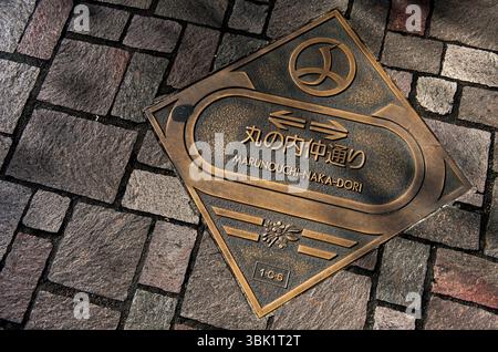 Die Naka-dori Straße verläuft durch das Herz des Geschäftsviertels Marunouchi mit Firmenbüros in der Nähe des Kaiserpalastes und des Bahnhofs Tokio in Japan. Stockfoto