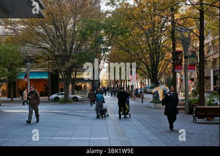 Die Naka-dori Straße verläuft durch das Herz des Geschäftsviertels Marunouchi mit Firmenbüros in der Nähe des Kaiserpalastes und des Bahnhofs Tokio in Japan. Stockfoto