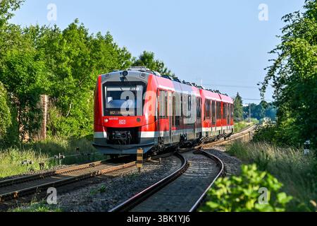 GER, Bahnhof Gerlenhofen der Illertalbahn / 12.06.2025, Bahnhof Gerlenhofen, Neu-Ulm, GER, Bahnhof Gerlenhofen der Illertalbahn, seit Wochen fallen auf der Illertalbahn zwischen Memmingen und Neu-Ulm Zuege aus. Als Ursache gibt die Bahn Personalengpaesse im Stellwerk Gerlenhofen an. im Bild Alstom Coradia LINT Baureihe 623 der DB Regio Bayern *** GER, Bahnhof Gerlenhofen der Illertalbahn 12 06 2025, Bahnhof Gerlenhofen, Neu Ulm, GER, Bahnhof Gerlenhofen der Illertalbahn, Züge sind seit Wochen auf der Illertalbahn zwischen Memmingen und Neu Ulm aus dem Grund der Eisenbahn eingestellt Stockfoto