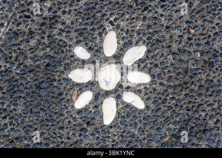 Schwarz-weiß-Foto eines Steinwegs mit einer weißen Blume in der Mitte. Der Steinweg besteht aus kleinen Felsen und die Blume aus größeren Felsen. Stockfoto