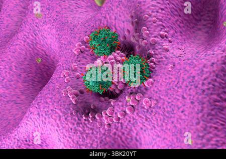 CAR-T-Zell-Therapie beim Magenkarzinom (Magen) - isometrische Darstellung 3D-Illustration Stockfoto