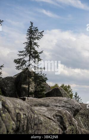 Ein einsamer immergrüner Baum erhebt sich aus zerklüfteten Felsen vor einem Hintergrund aus Wolken und blauem Himmel und schafft eine ruhige und ruhige Atmosphäre im Freien in der Natur. Stockfoto