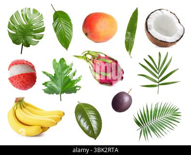 Tropische Blätter und Früchte isoliert auf weiß, Set Stockfoto