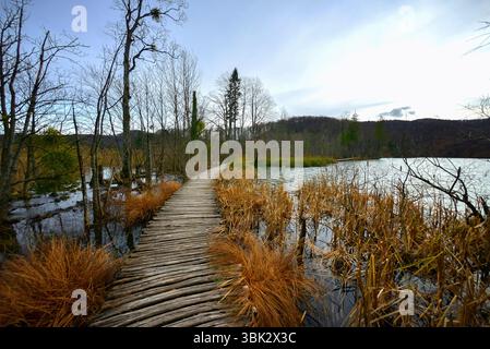 Holzweg durch die Seen Winkel Schuss Stockfoto