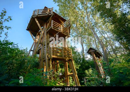Hoher Aussichtsturm im Waldwinkel Stockfoto