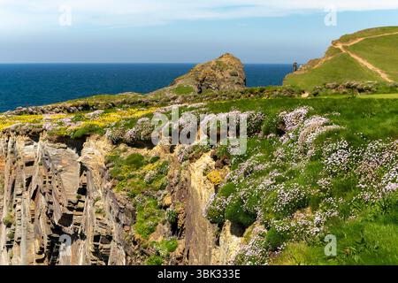 Farbenfroher Blick auf die Küste von Cornish im Sommer mit Blick nach Norden über die Cliffs bis Gunver Head, mit Cliff Detail und Clusters of Thrift. Stockfoto