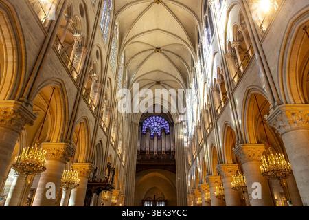Kathedrale Notre-Dame, Paris, Frankreich. Nave Stockfoto