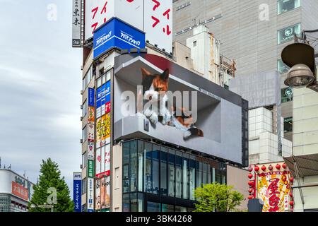 Riesige digitale 3D-Werbetafel, auf der eine Katze aus dem Bildschirm auf dem Cross Shinjuku Gebäude in Tokio zu sehen scheint Stockfoto