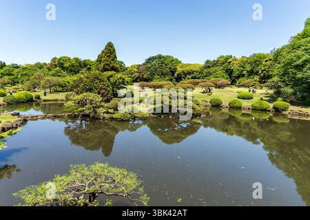 Shinjuku Gyoen National Garden Landschaft im Frühling mit blauem Himmel, Tokio Stockfoto