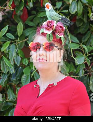 Ascot, Berkshire, Großbritannien. Juni 2025. Rennfahrer und Prominente posieren, mischen sich und genießen den Sonnenschein am 2. Tag des Royal Ascot auf der Ascot Racecourse in Berkshire. Quelle: Imageplotter/Alamy Live News Stockfoto