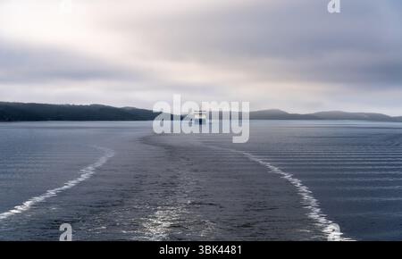 Kreuzfahrtschiffe segeln durch die ruhigen Gewässer des Oslofjords in Akershus Norwegen, umgeben von Morgennebel und Nebel, ruhige Atmosphäre zwischen fernen Hügeln Stockfoto