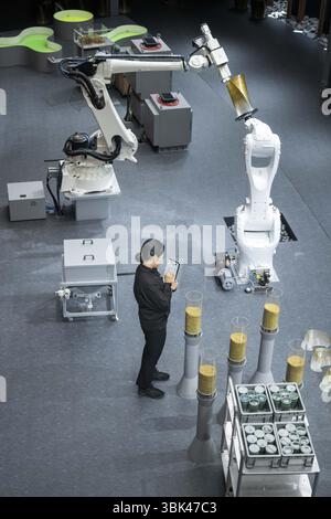 Osaka, Japan. Juni 2025. Besuch des japanischen Pavillons auf der Universal World Expo (13.04-13.10) während der Flämischen Woche (15.-21.06), in Osaka, Kansai, Japan, Mittwoch, 18. Juni 2025. Die Expo 2025 ist eine Weltausstellung, die vom Bureau International des Expositions (BIE) organisiert wird. Sie findet für sechs Monate vom 13. April 2025 bis zum 13. Oktober 2025 statt. BELGA PHOTO ROB WALBERS Credit: Belga News Agency/Alamy Live News Stockfoto