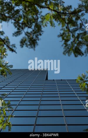 Der Bürohochhaus erhebt sich in flachem Design mit reflektierenden Stahlgitterfenstern und Baumrahmen Stockfoto