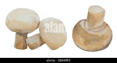 Aquarellpilzvektorillustrationen. Handgezeichnetes Logo für frische Lebensmittel, ideal für Karten, Bannermärkte, Kopfzeilen, Partyplakate oder Dekorieren Sie Ihr A Stock Vektor