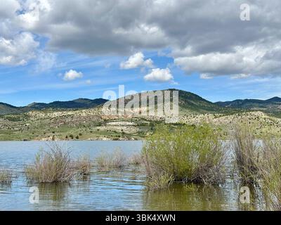 Sträucher, die teilweise in einen ruhigen Bergsee getaucht sind, vor einer Kulisse aus sanften Hügeln und dramatischen Wolken. Die Hochwüste liegt in Kap. Stockfoto