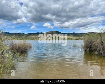 Sträucher, die teilweise in einen ruhigen Bergsee getaucht sind, vor einer Kulisse aus sanften Hügeln und dramatischen Wolken. Die Hochwüste liegt in Kap. Stockfoto