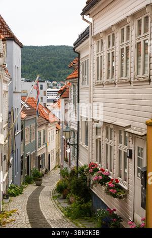 Bezaubernde enge Straße mit bunten Holzhäusern und Blumen in Bergen, Norwegen. Stockfoto