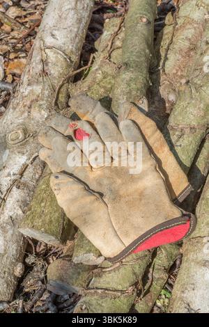 Altes Paar abgenutzte Arbeitshandschuhe mit Lederbesatz, die auf abgeschnittenen Stämmen liegen. Für Gartenarbeit, Gartenpflege, Gartenarbeit, Handschutz. Stockfoto