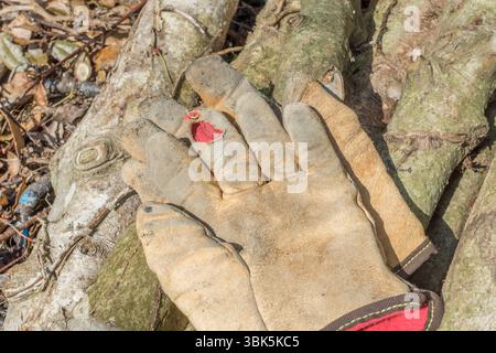 Altes Paar abgenutzte Arbeitshandschuhe mit Lederbesatz, die auf abgeschnittenen Stämmen liegen. Für Gartenarbeit, Gartenpflege, Gartenarbeit, Handschutz. Stockfoto