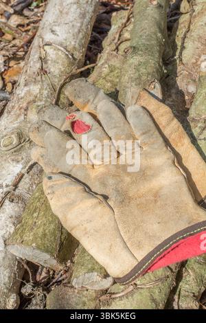 Altes Paar abgenutzte Arbeitshandschuhe mit Lederbesatz, die auf abgeschnittenen Stämmen liegen. Für Gartenarbeit, Gartenpflege, Gartenarbeit, Handschutz. Stockfoto