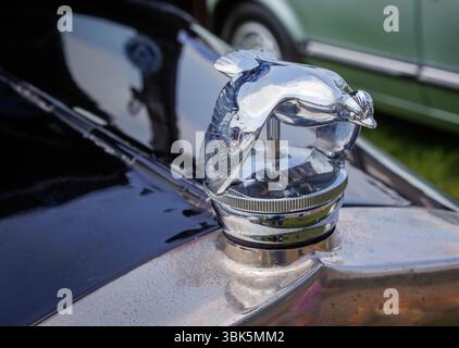 Cheshire Show, Clay House Farm, Flittogate Lane, Knutsford - 17. Juni 2025 - die Royal Cheshire County Show 2025 ist eine prächtige Hommage an die idyllische Landschaft von Cheshire, Landwirtschaft, köstliche Küche und gesunde Familienunterhaltung. Es bietet Viehwettbewerbe, Reitveranstaltungen, lokale Produkte, Kunsthandwerk und ein kulinarisches Dorf mit Live-Kochvorführungen von Spitzenköchen. Quelle: John Hopkins/Alamy Live News Stockfoto