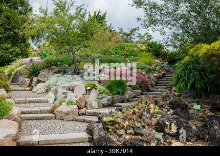 Sauberes und gepflegtes Gebiet der Kopenhagener Botanischen Gärten im Mai. Verschiedene Pflanzen- und Baumzusammensetzungen wachsen unter freiem Himmel. Stockfoto