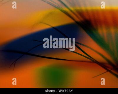 Ein lebendiges abstraktes Kunstwerk mit einer farbenfrohen Mischung aus Formen und Linien, das ein modernes Design schafft. Digitale Kunst mit verschiedenen Farben, darunter Orange, Stockfoto